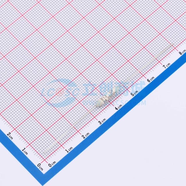 合金型温度保险丝(轴向型)实物图