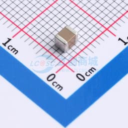 10uF ±10% 100V缩略图