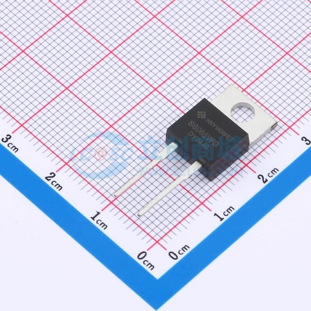 HSTPSC6C065Y实物图