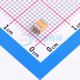 100uF ±10% 6.3V缩略图