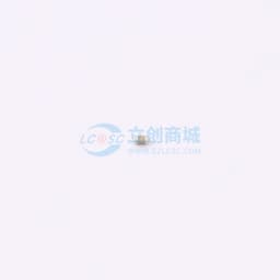 300pF ±10% 50V缩略图
