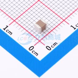 10uF ±10% 63V缩略图