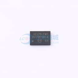 SI32178-B-FM1缩略图