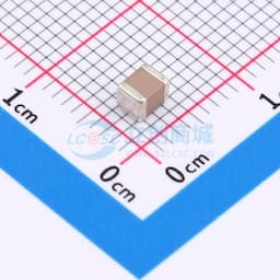 2.2uF ±10% 100V缩略图