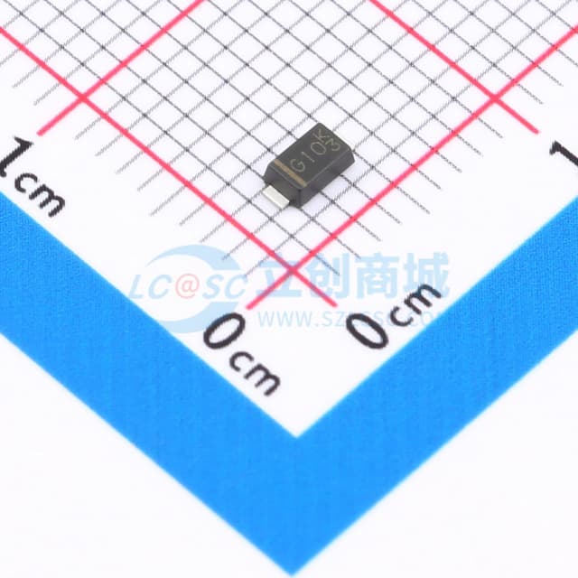 SS10100FL_R1_00001实物图