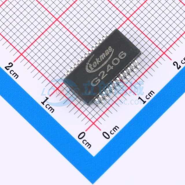 G2406(TOKMAS)实物图