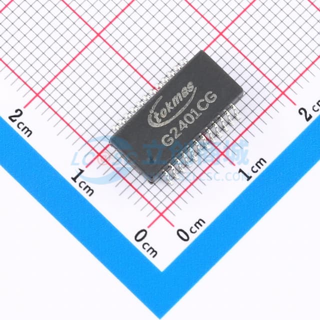G2401CG(TOKMAS)实物图