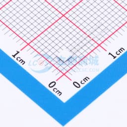 Pt温度传感器，温度范围-70°C至+500°C缩略图