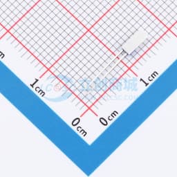Pt1000, 2.0x5.0, A 级缩略图